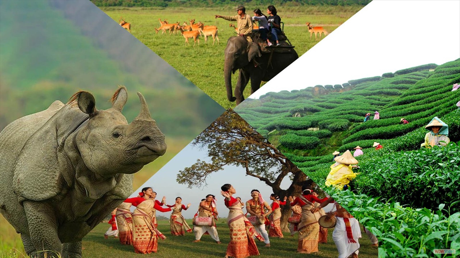 <b>4<sup>th</sup> South Asian Melioidosis Congress (SAMC)</b><br><center>26<sup>th</sup> to 27<sup>th</sup> of November, 2025<br>(Vivanta, Guwahati, India)</center><br><center><b>Theme- 'Melioidosis: The Great Mimicker'</b></center>