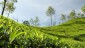 <b>4<sup>th</sup> South Asian Melioidosis Congress (SAMC)</b><br><center>26<sup>th</sup> to 27<sup>th</sup> of November, 2025<br>(Vivanta, Guwahati, India)</center><br><center><b>Theme- 'Melioidosis: The Great Mimicker'</b></center>